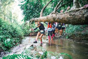 BIB: 
                            <button type="button" onclick="openModal(25475894)" class="btn btn-primary btn-sm float-right btn-popup" data-toggle="modal" data-target=".modal-high-quality">
                        <i class="fas fa-shopping-cart"></i> Add to Cart
                    </button>
                                            <button type="button" onclick="isThisMe(25475894, true)" class="btn btn-success btn-sm float-right btn-popup btn-isme hidden" data-toggle="tooltip" data-placement="bottom" title="นี่คือรูปของคุณใช่ไหม คลิกที่นี่เพื่อเอาเข้าอัลบั้ม">
                        <i class="fas fa-plus"></i> Add to album
                    </button>
                    <button type="button" onclick="isThisMe(25475894, false)" class="btn btn-warning btn-sm float-right btn-popup btn-isnotme hidden">
                        <i class="fas fa-ban"></i> Remove from album
                    </button>